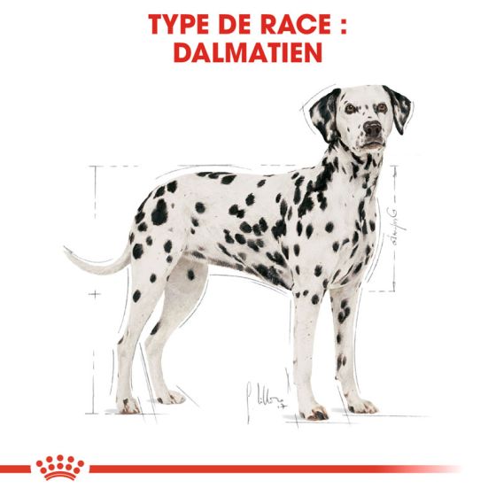 Royal Canin dog Special Dalmatian Adult 12Kg (Within 2-3 days)