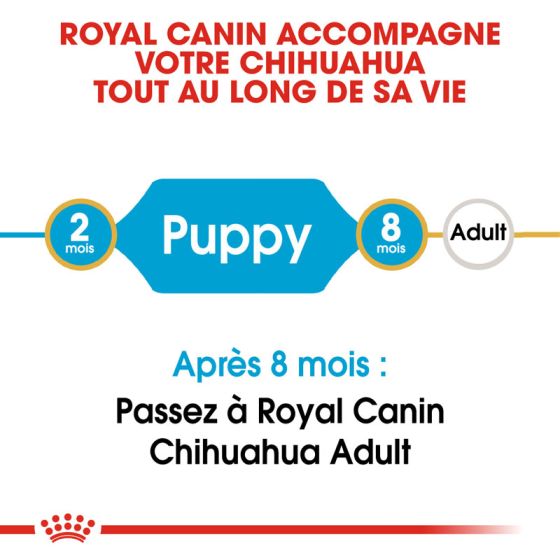 Royal Canin dog Special Chihuahua junior 500g