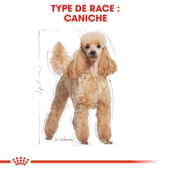Royal Canin dog Spécial Caniche Adult 7.5Kg