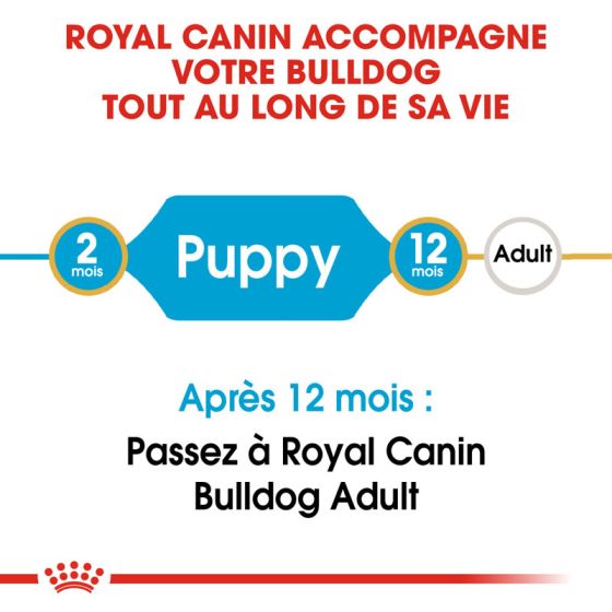 Royal Canin dog Special Bulldog Junior 3Kg