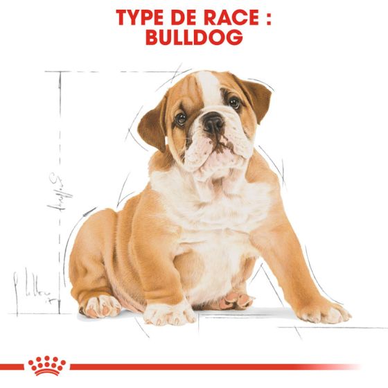 Royal Canin dog Spécial Bulldog Anglais Junior12Kg