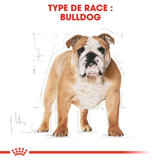 Royal Canin dog Spécial Bulldog Anglais 12Kg