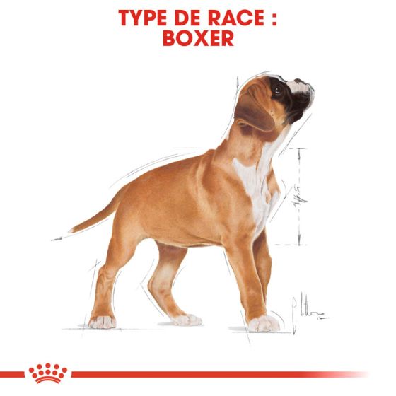 Royal Canin dog Special Boxer Junior 12Kg