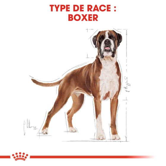 Royal Canin dog Special Boxer Adult 12Kg