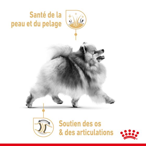Royal Canin dog Pomeranian bag 85gr