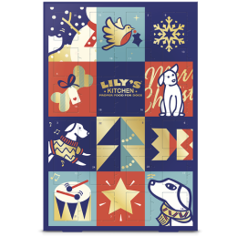 Lily's Kitchen Dog Advent Calendar 100gr