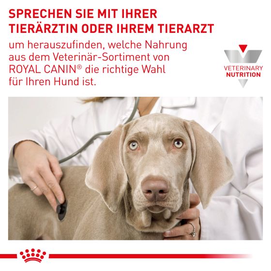 RC Vet Dog Urinary S/O 7,5kg