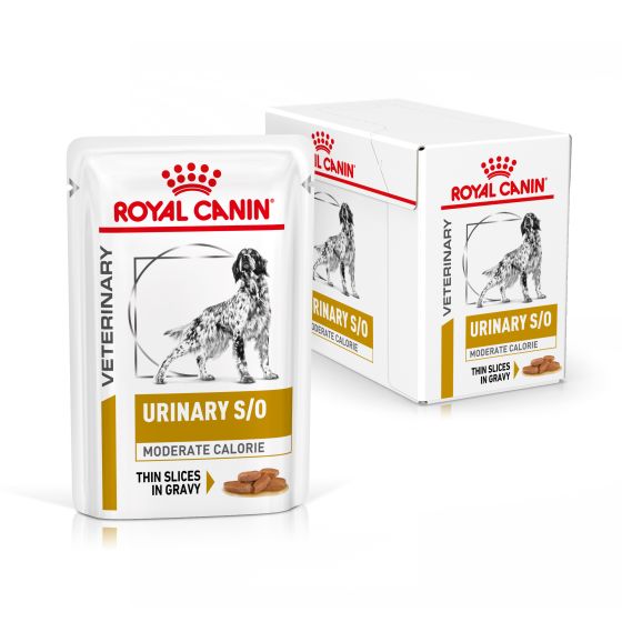 RC Vet Dog Urinary S/O Moderate Calorie in Gravy 4x12x100gr