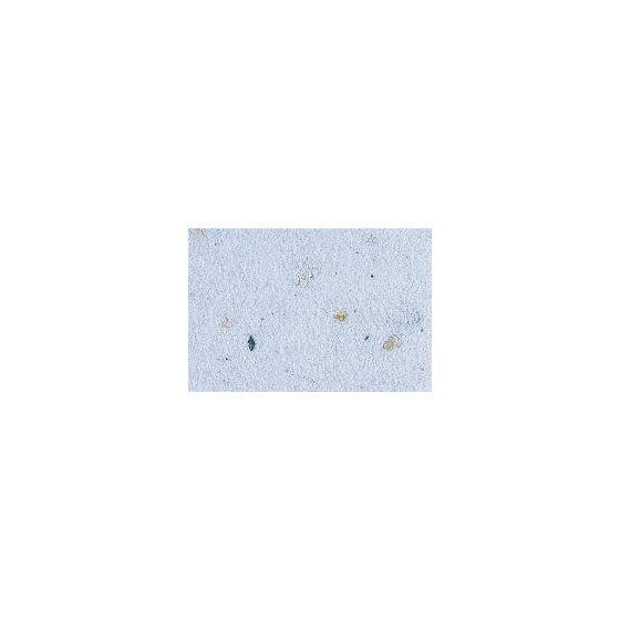 Sand gravel Anise 4 KG ( ANISE )