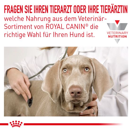 RC Vet Dog Hypoallergenic 14kg