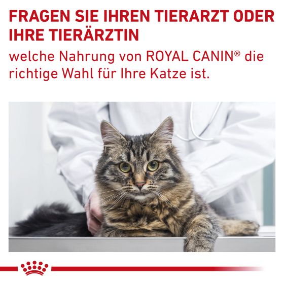 RC Vet Cat Gastrointestinal Fiber Response 2kg