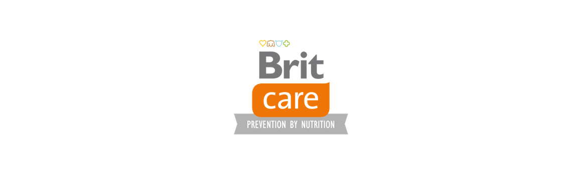 Brit Care Chat